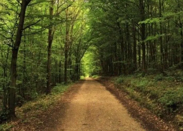 キャンプ場 35m² - Terrasse - Acces Handicape - Api-1-52-716